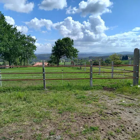 Affittacamere La Puerta De *