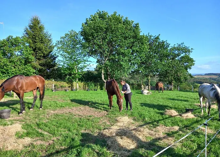 بيت ضيافة La Puerta De *